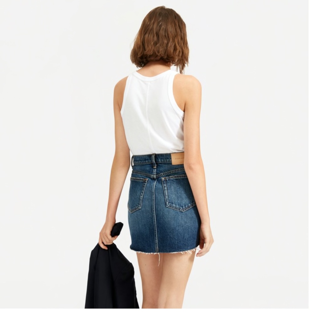 Everlane Denim Skirt
